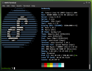 fastfetch screenshot